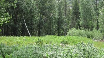 Upper Transect Right to Left Overview