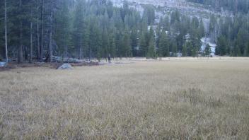 Upper Transect Right to Left Overview