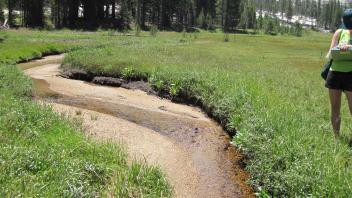 Upper Transect Right to Left Upstream