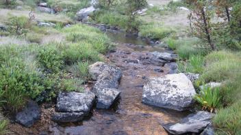 Upper Transect Right to Left Upstream