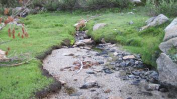 Upper Transect Right to Left Upstream