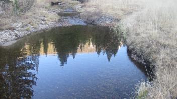 Upper Transect Upstream