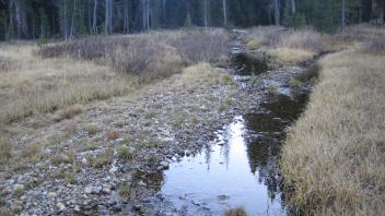 Upper Transect Upstream