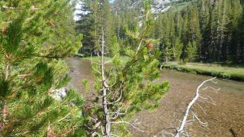 Upper Transect Upstream