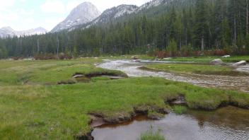 Upper Transect Upstream