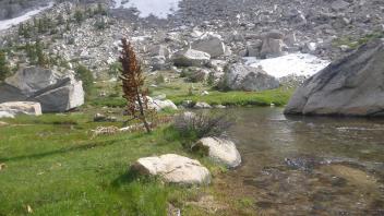 Upper Transect Upstream