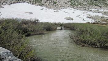 Upper Transect Upstream