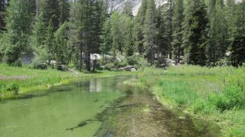 Upper Transect Upstream