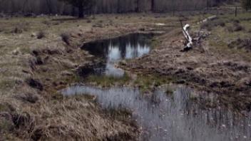 Upper Transect of Upper Channel (looking upstream)
