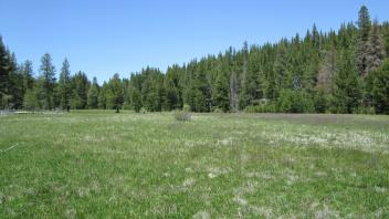 Upper terrace at middle stringer