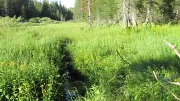 Upstream