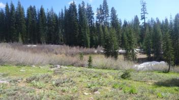 Upstream Transect (right to left)