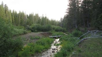 View Downstream