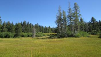 View Toward Top of Meadow from Point 2