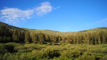 View from bottom of meadow
