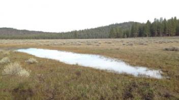 Water Pond