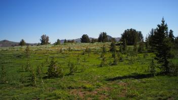 transect 2, left
