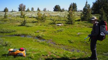 transect 2, stream channel left