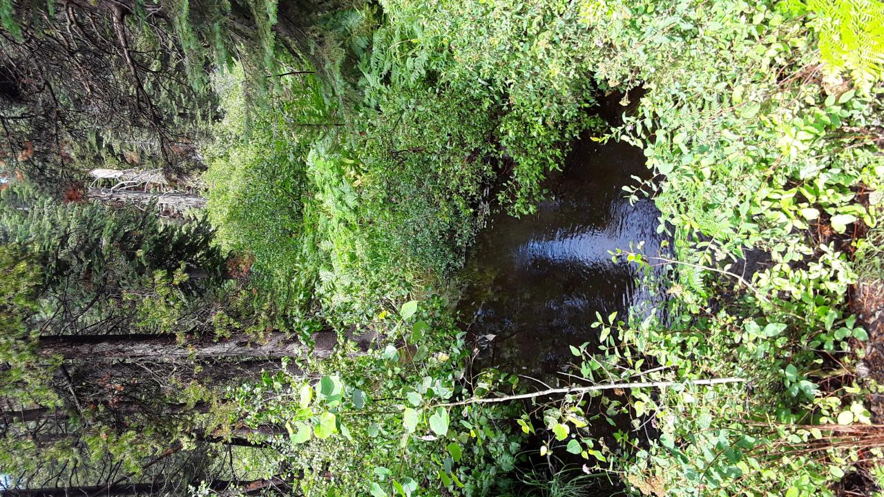 Chimney Flat channel