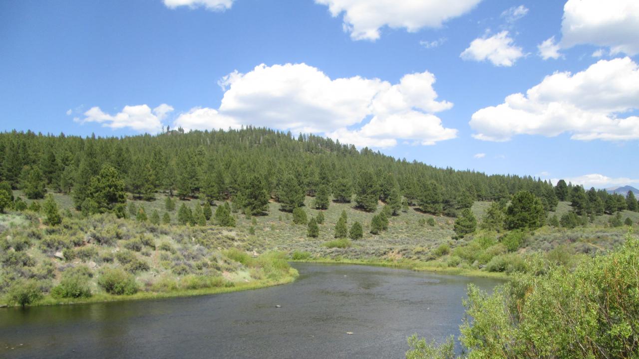 Channel, from left bank looking downstream
