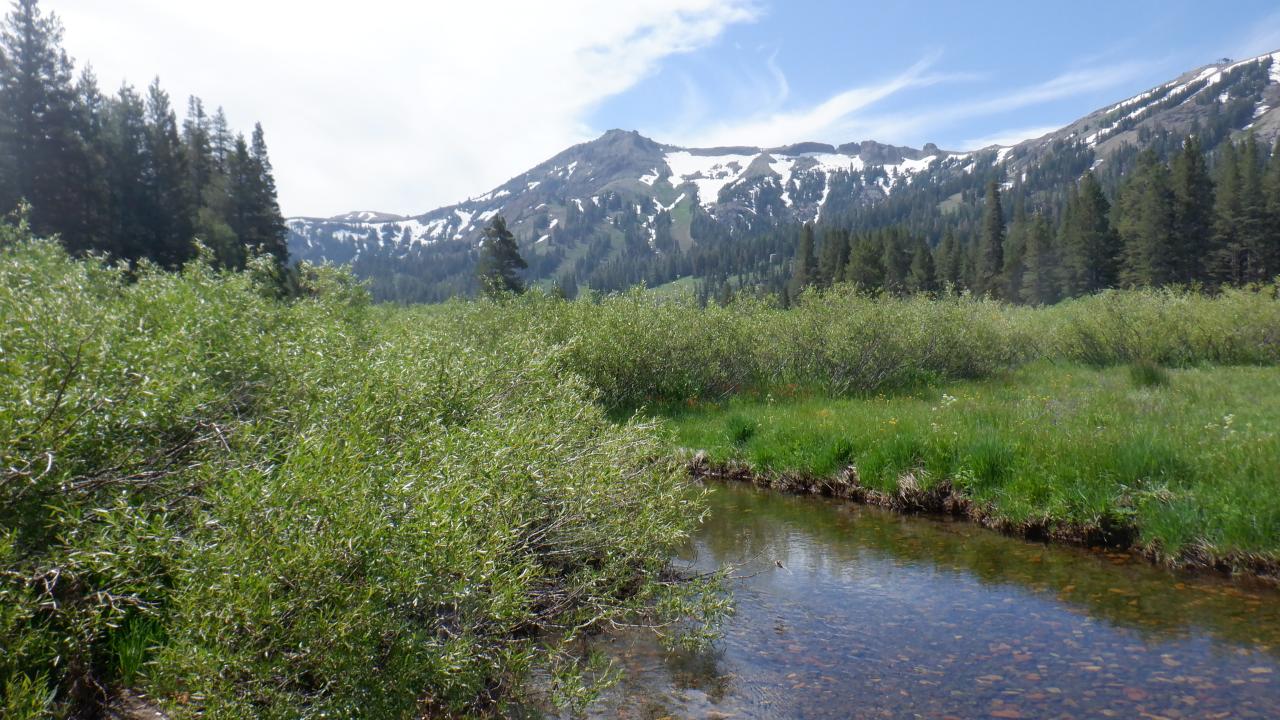 Kirkwood + Mountain