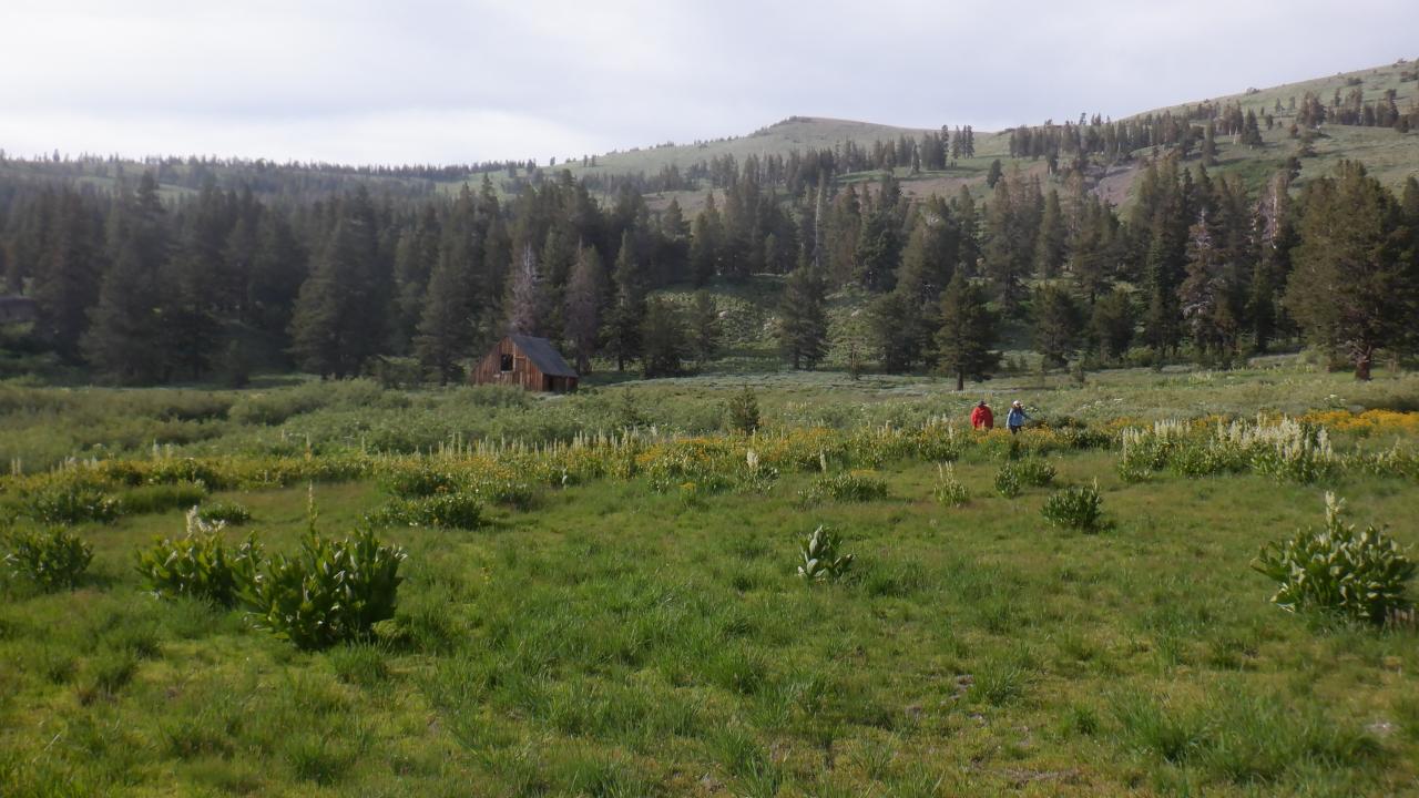 Schneider Camp with house