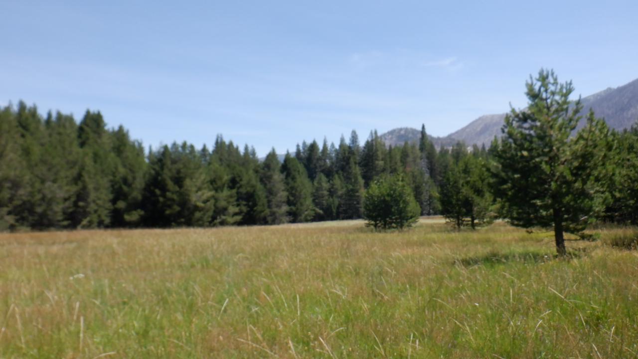 Lake Valley Meadow