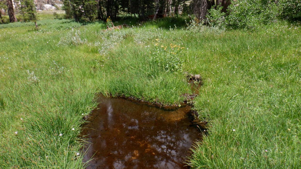 Upper Forni 2 channel