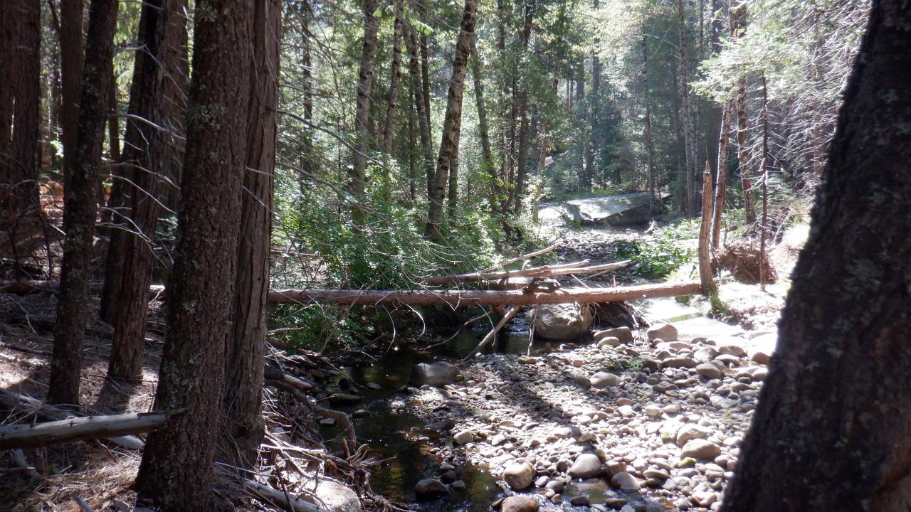 Plum Creek