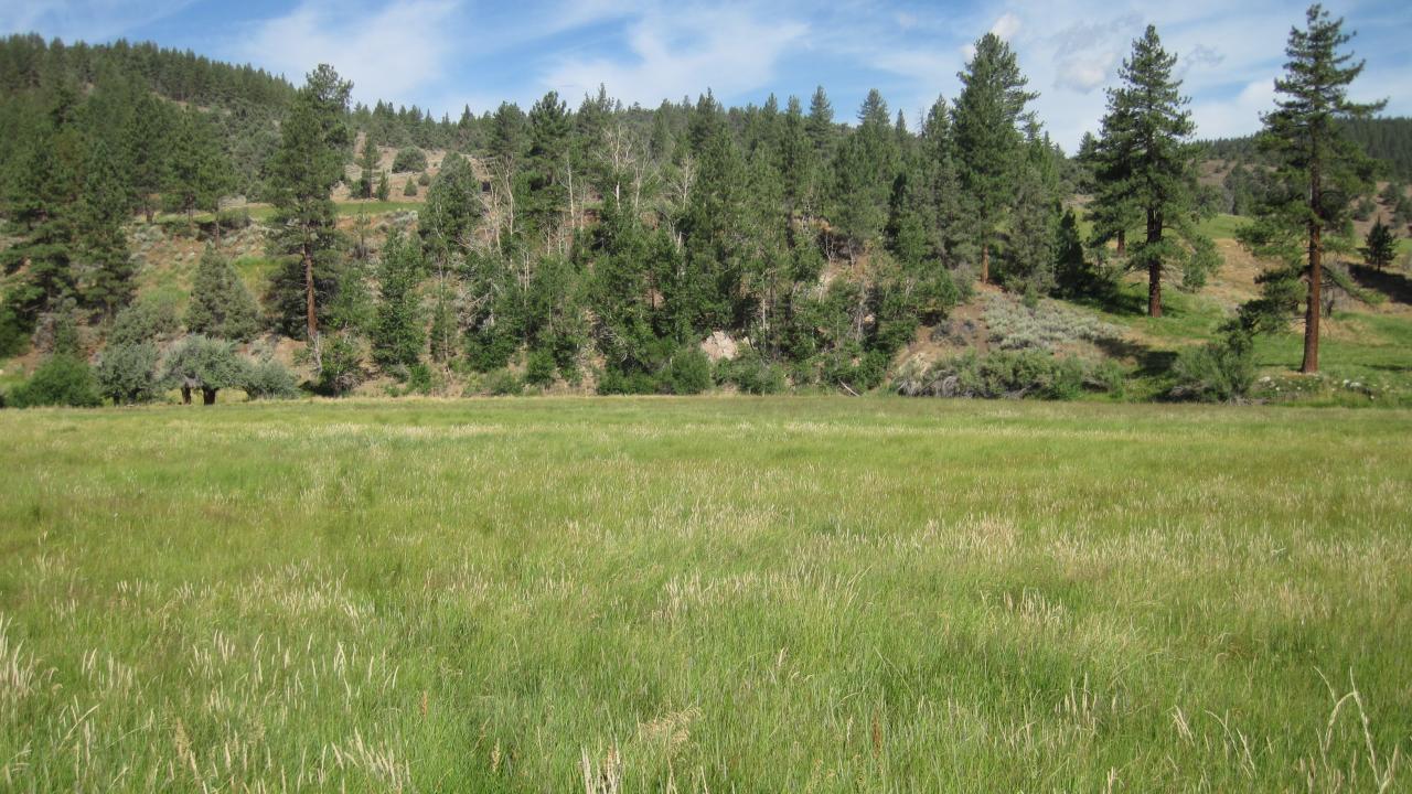 End of middle transect, looking west