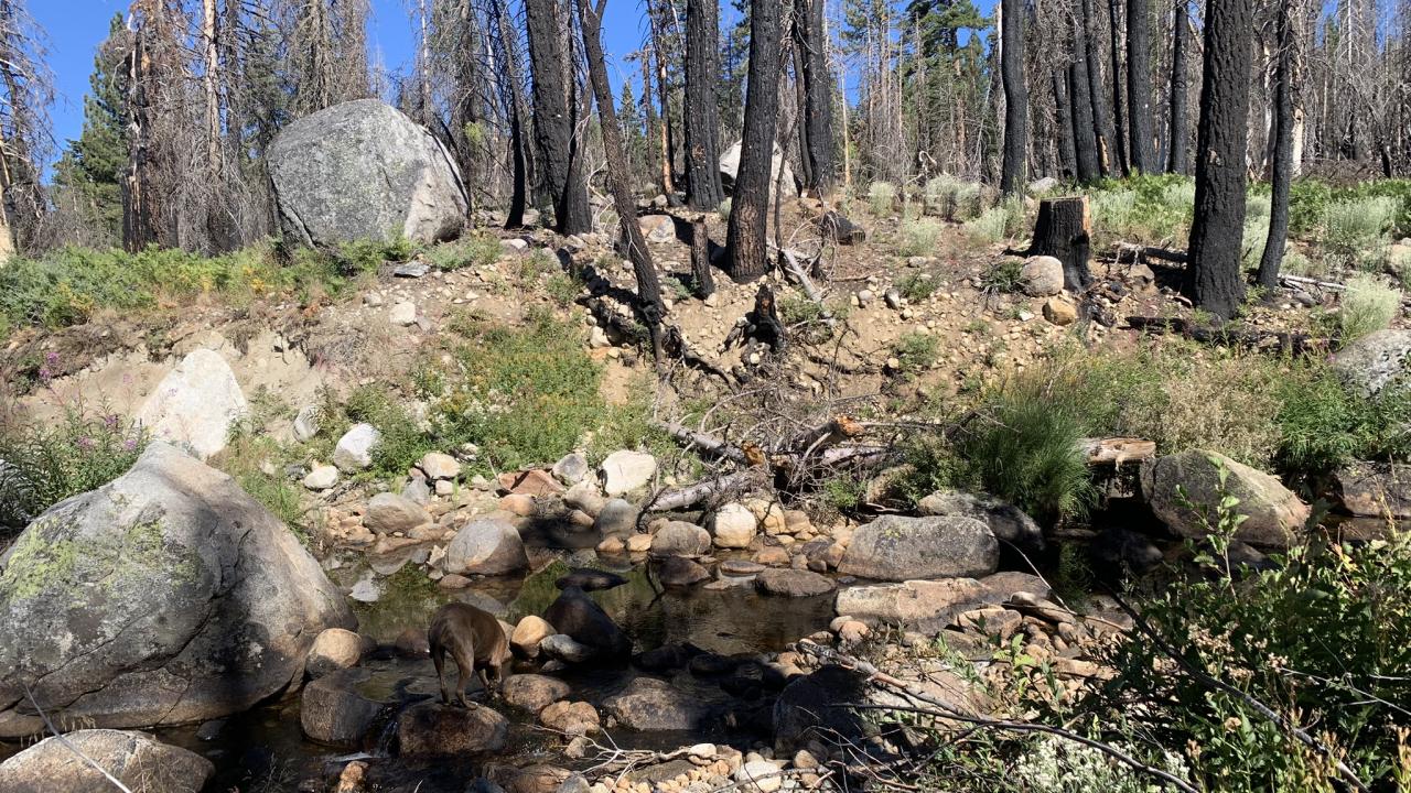 Lyons Creek channel
