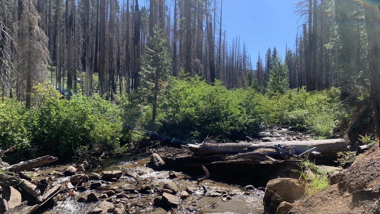 Upper Strawberry Channel