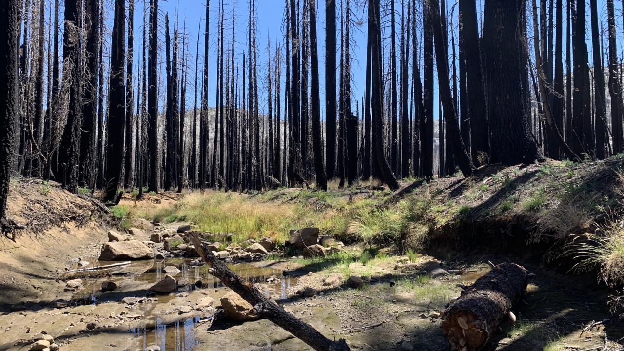 Tragedy Creek Channel