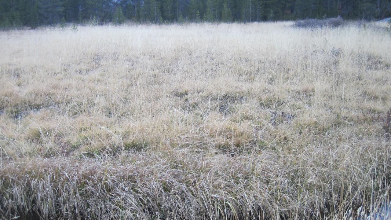 Lower Transect Channel Right to Left