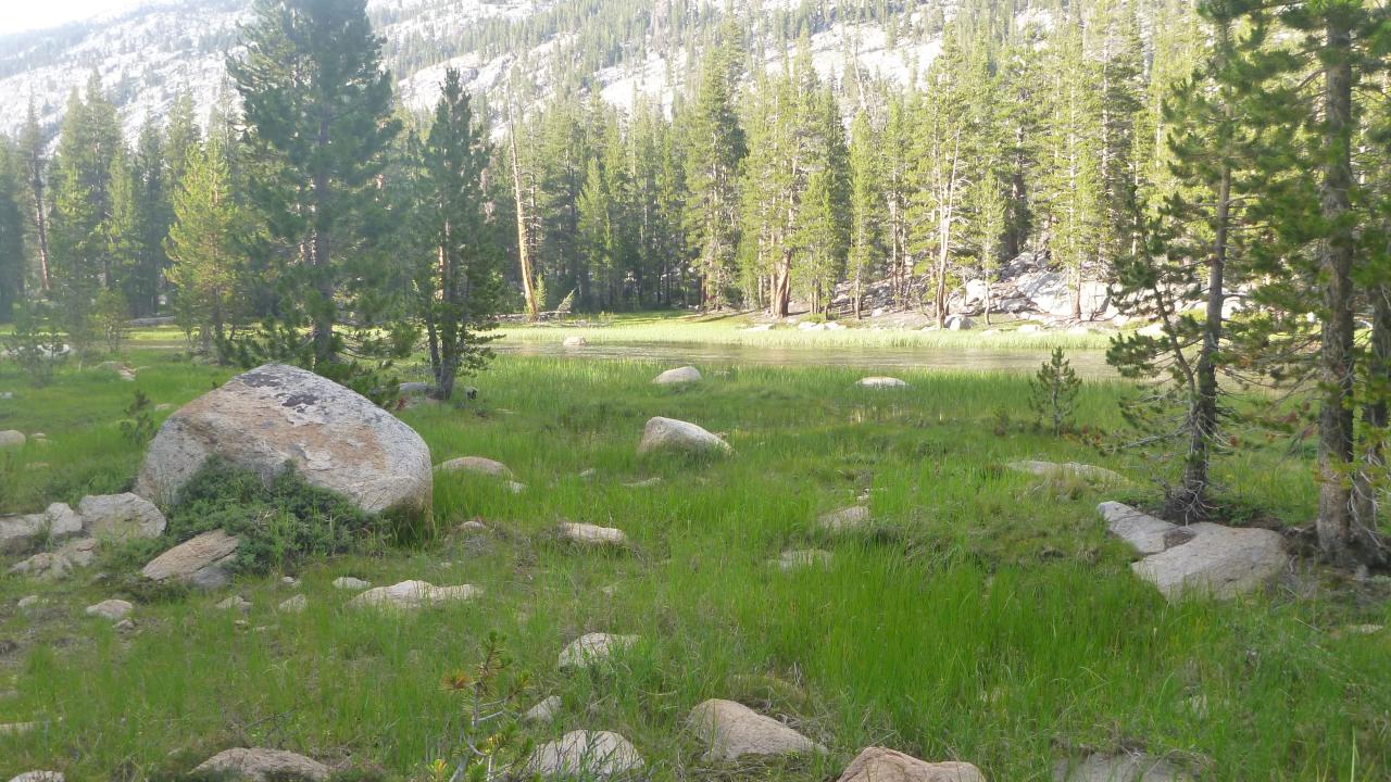 Lower Transect Left to Right Overview