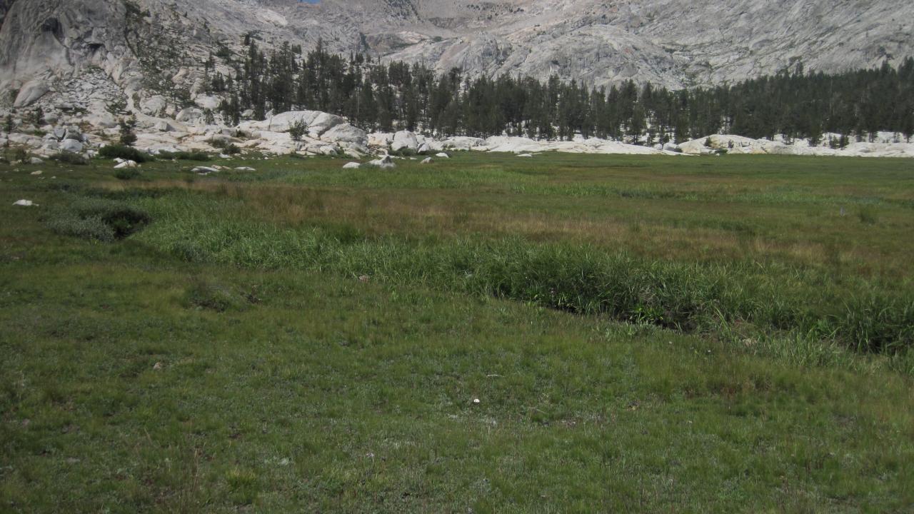 Lower Transect Left to Right Overview
