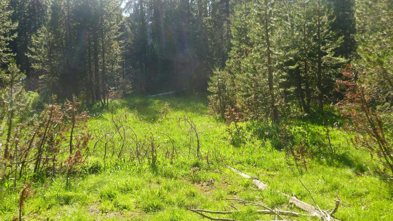 Lower Transect Overview (right to left)