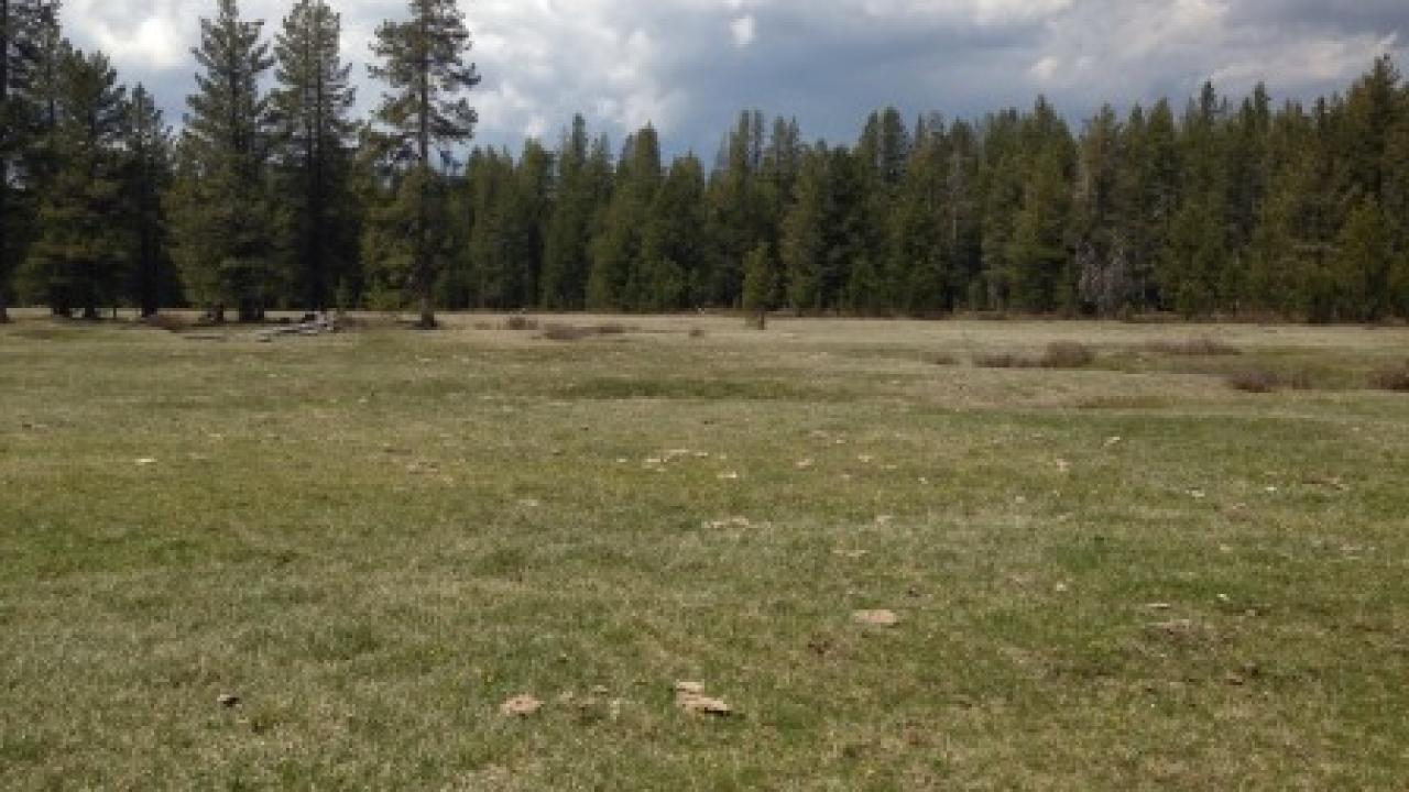 Lower transect, third channel (river left)