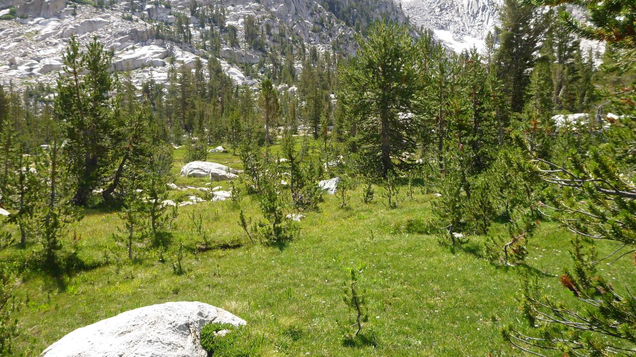 Middle Transect Overview (right to left)