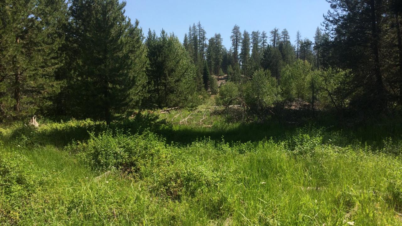 Middle Transect Overview (right to left)