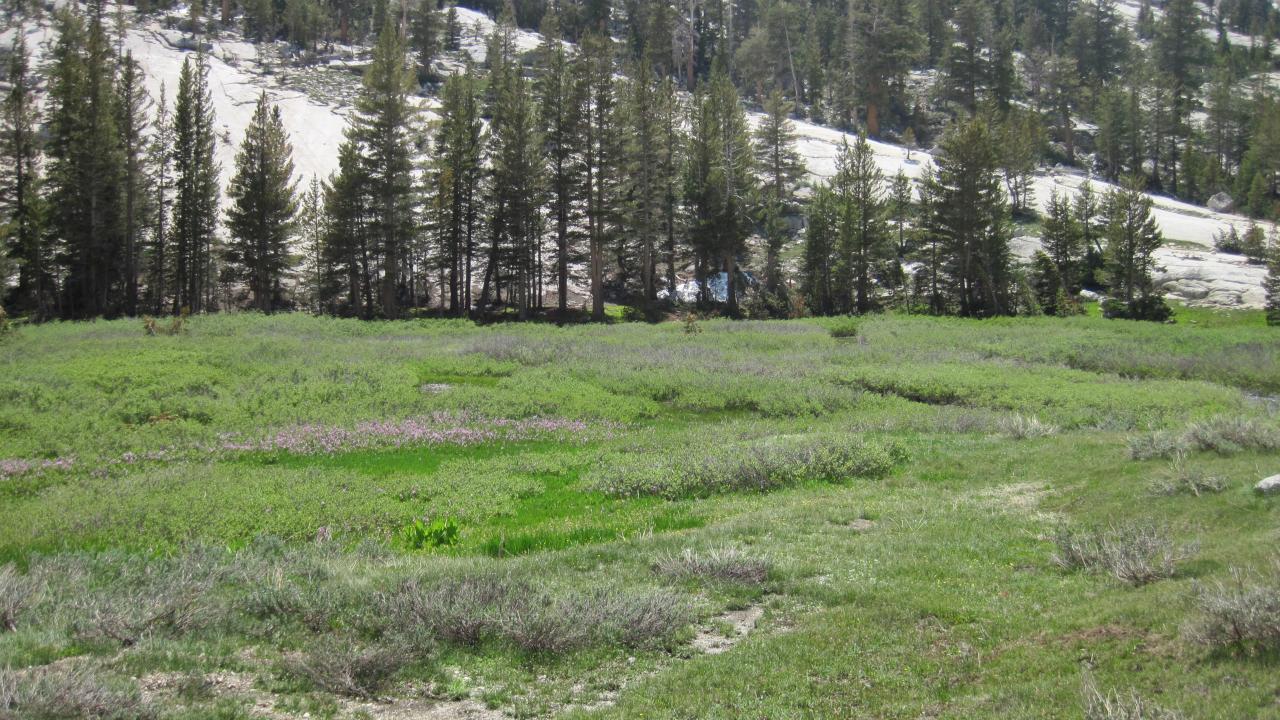 Middle Transect Overview (right to left)