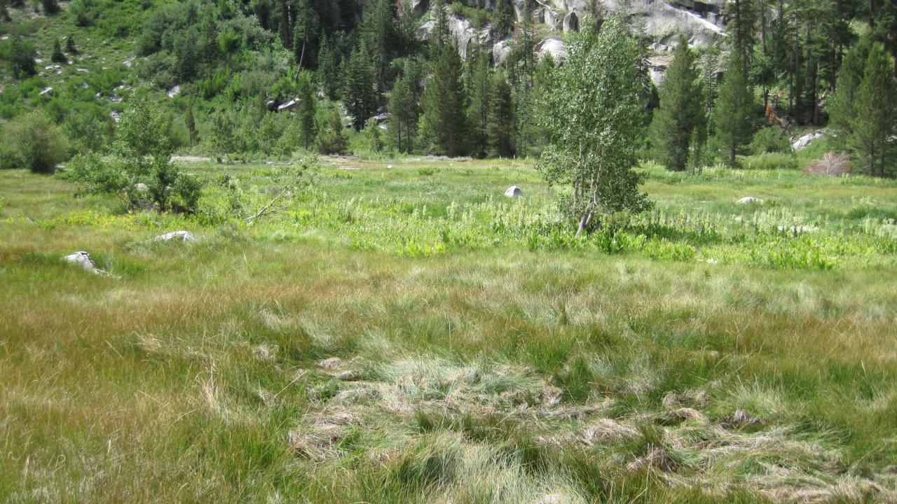 Middle Transect Right to Left Overview