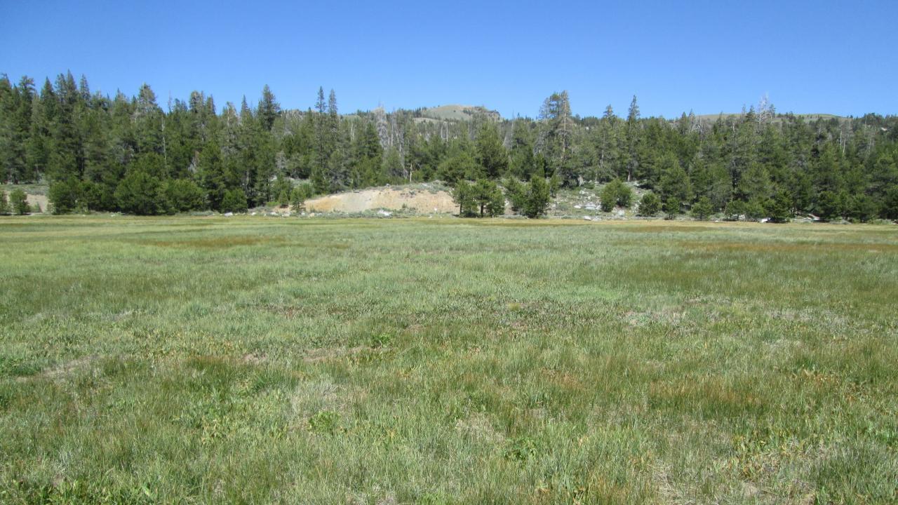 Start of lower transect, looking east