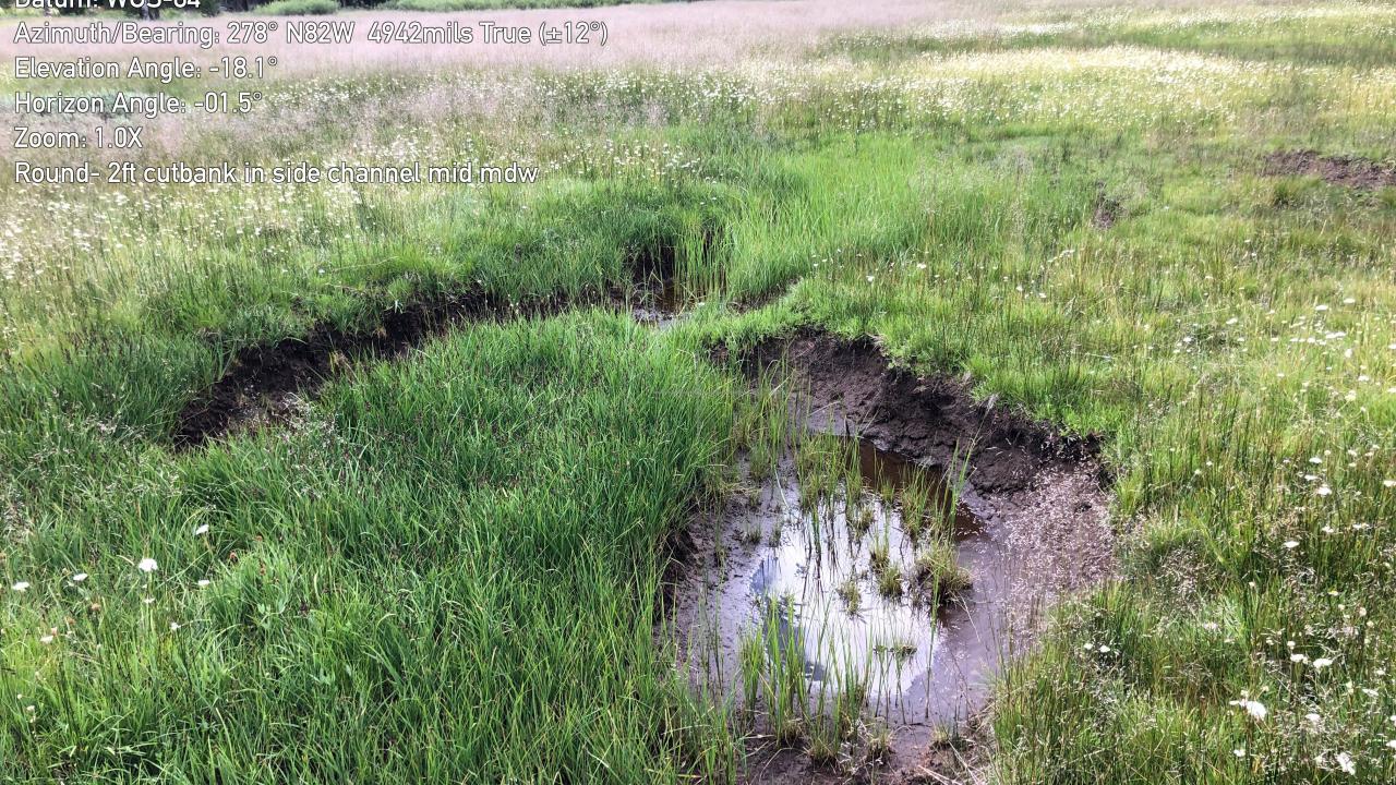 Round Meadow side channel