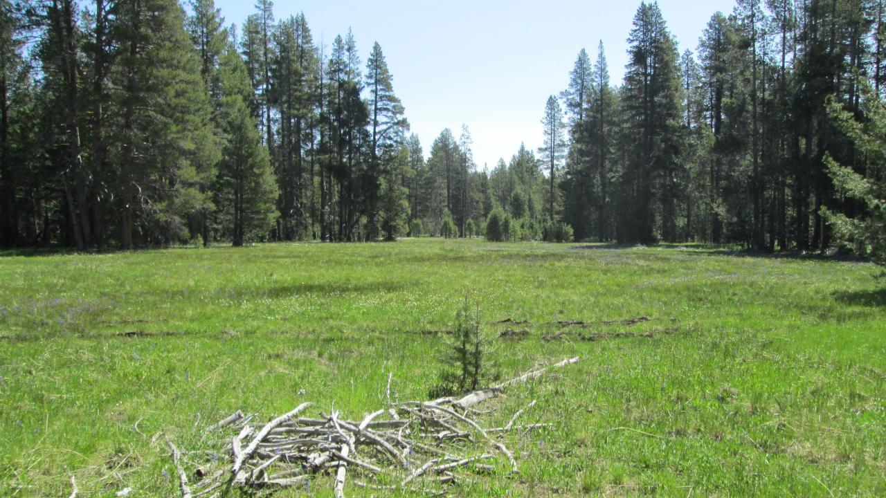 Top of meadow