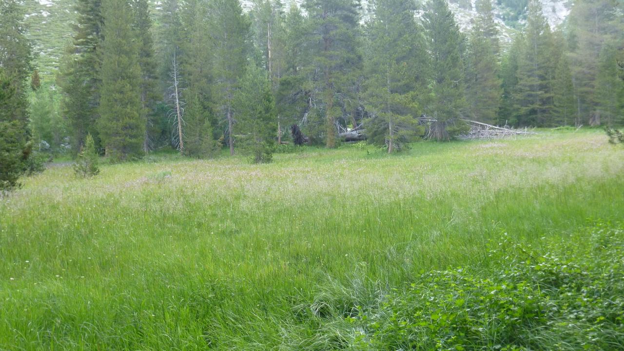 Transect 2 Overview (left to right)