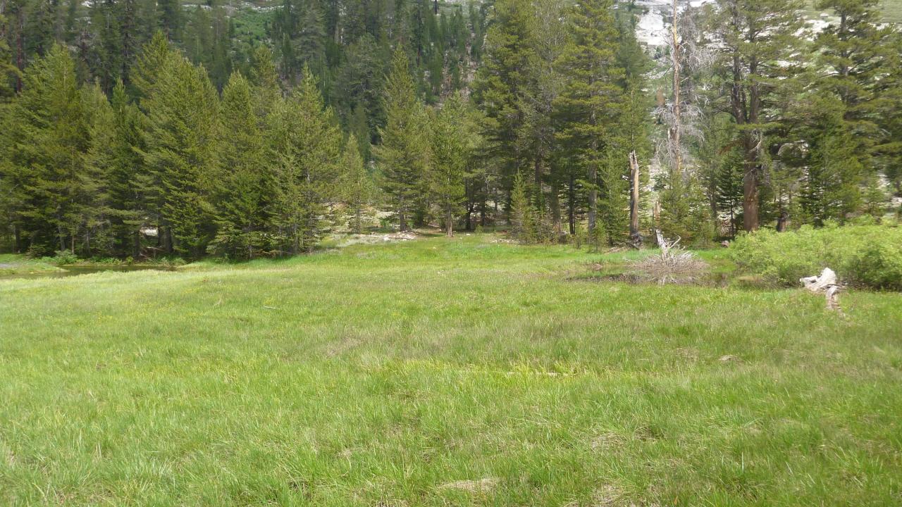 Transect 3 (left to right)
