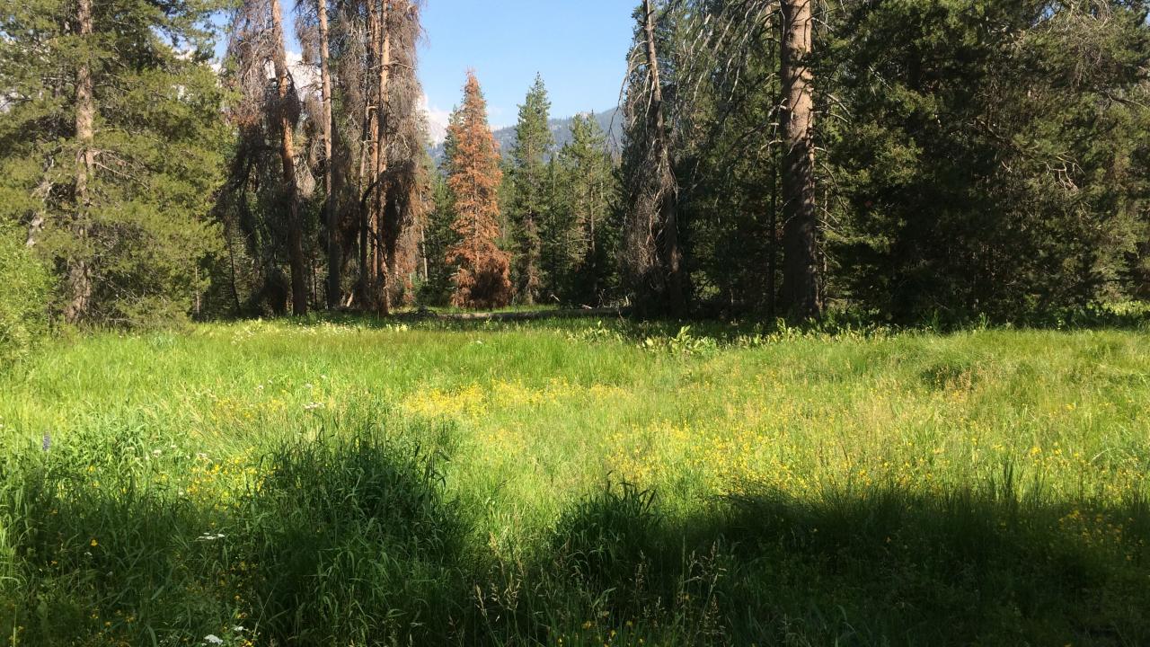 Upper Transect Channel (downstream)