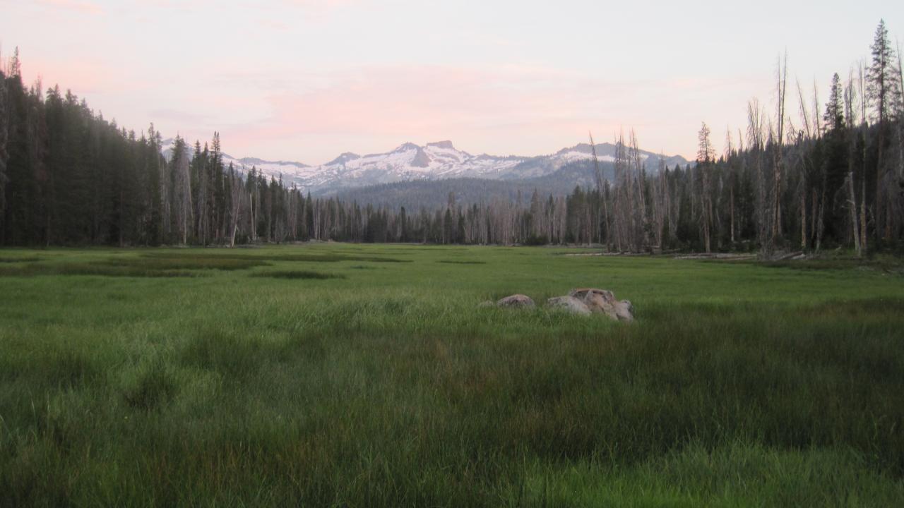 Upper Transect Channel Right to Left