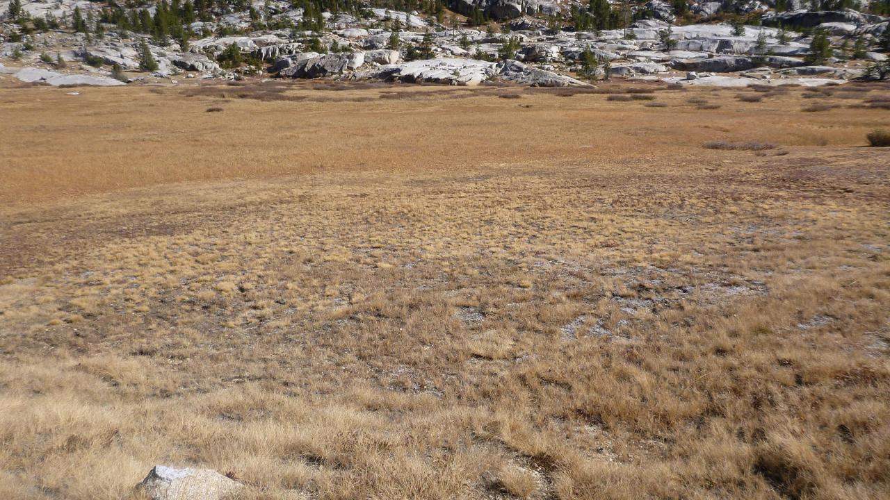 Upper Transect Overview (left to right)